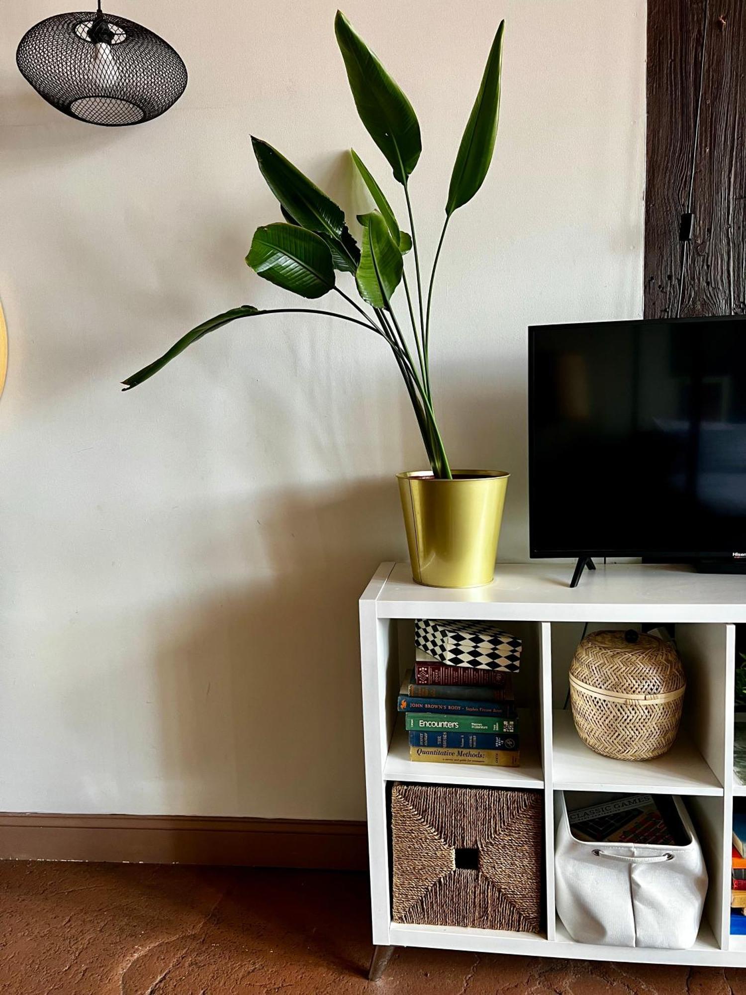 420 Friendly Boho Loft Downtown King Suite Free Parking 底特律 外观 照片